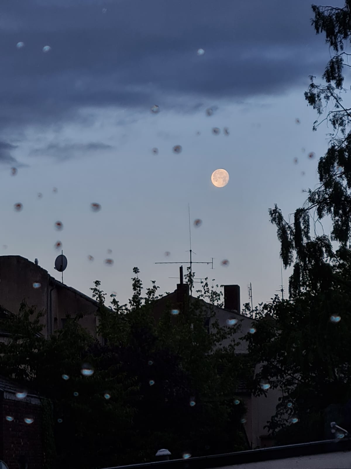 Moon of the Last Night